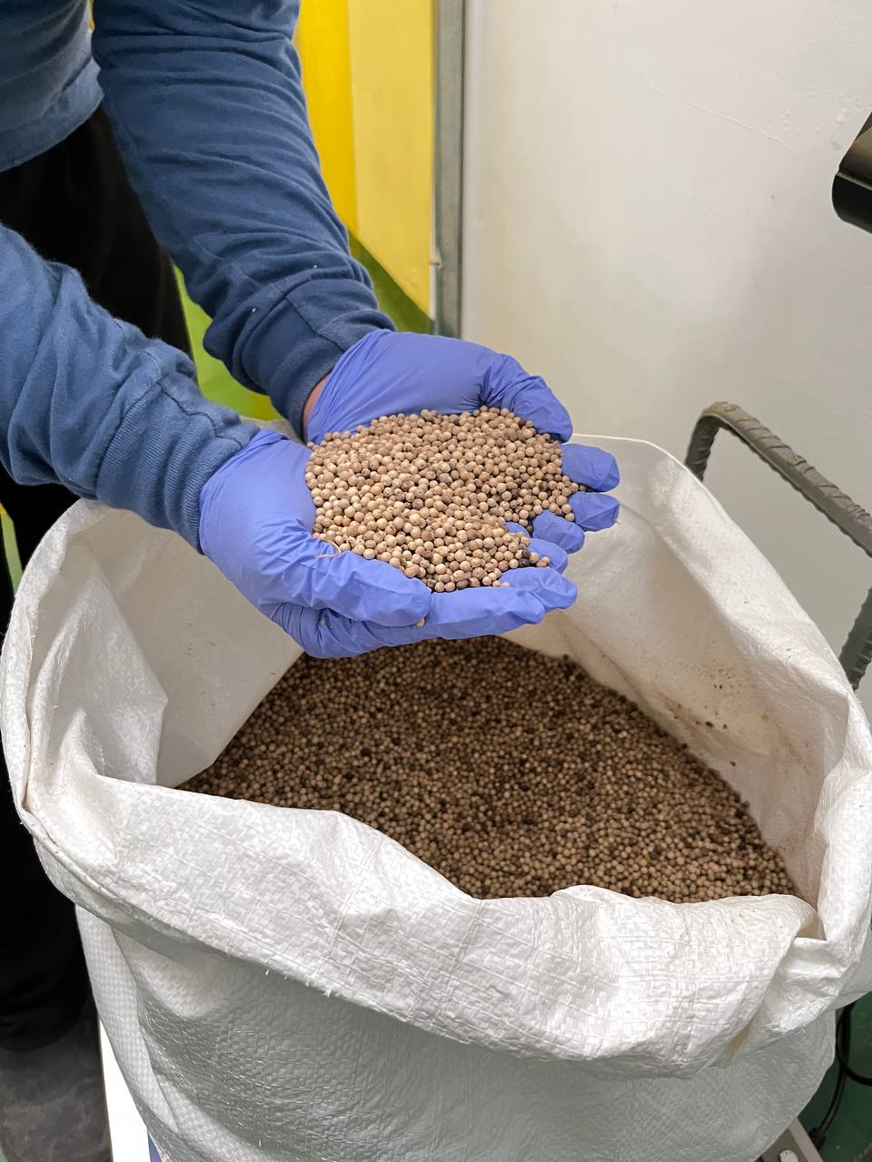 Cinquer quality inspection